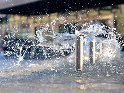 赵西垸林场企业风采