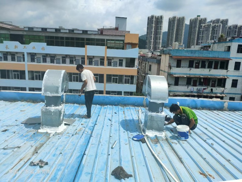 赵西垸林场钢结构屋面涂料维修方法