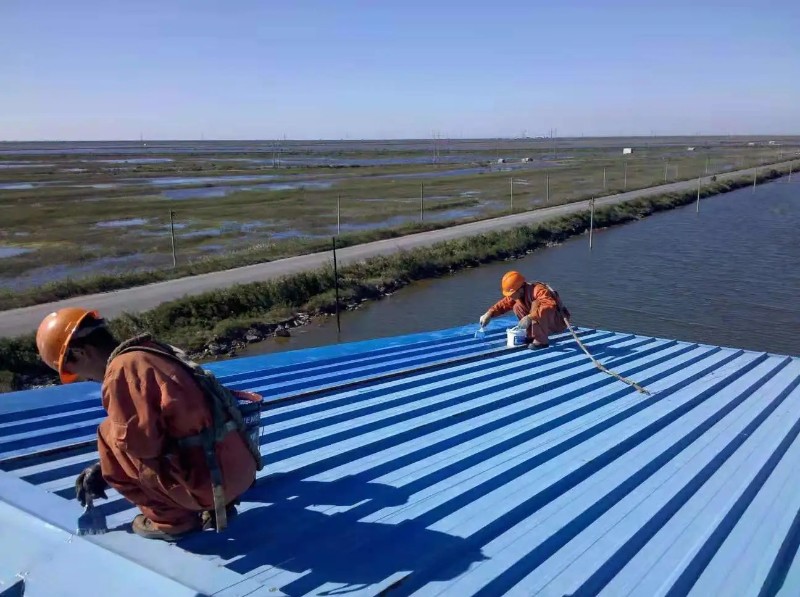 赵西垸林场钢结构屋面漏水原因